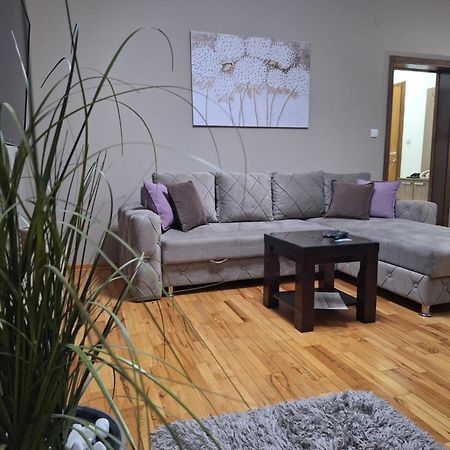 Apartmani Radulovic Vrnjačka Banja Zimmer foto